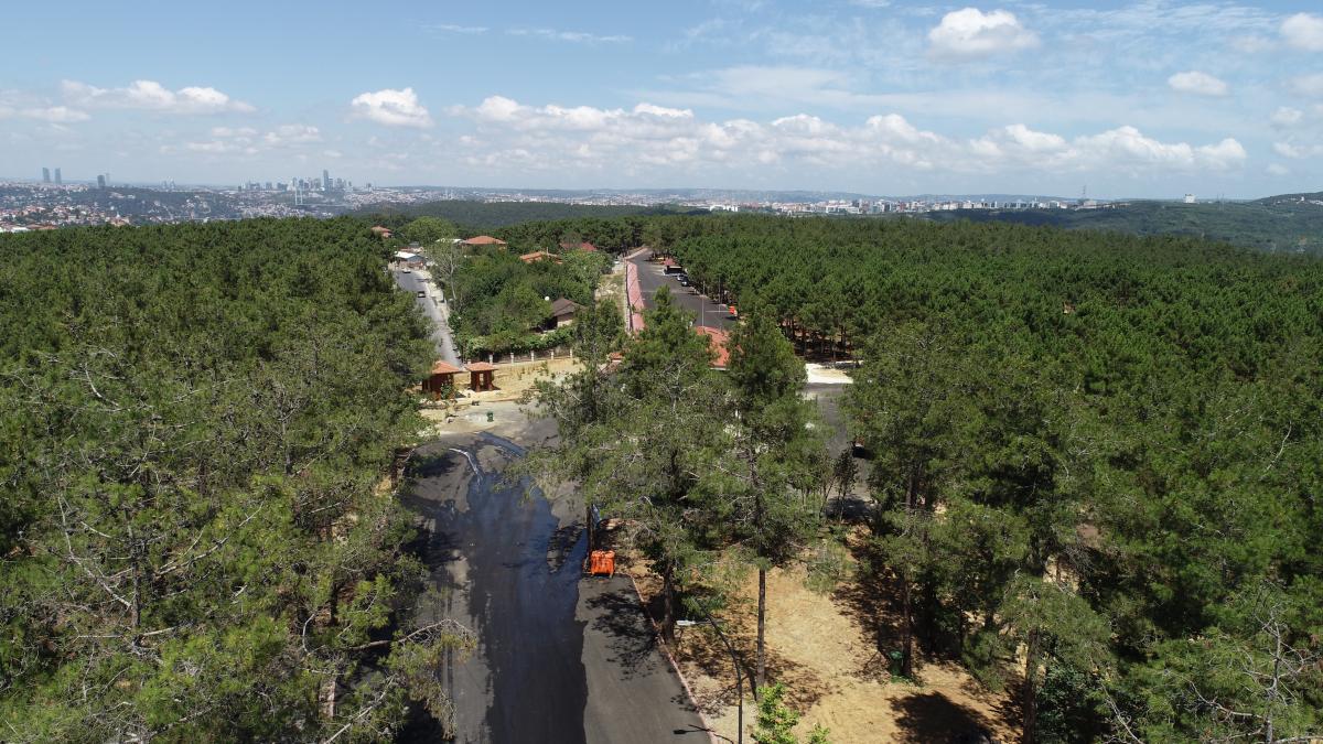 İstanbul'da Kanuni Sultan Süleyman Şehir Ormanı açıldı