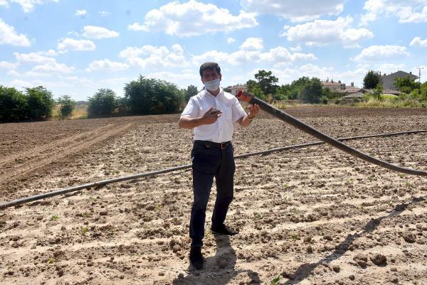 Edirne'de nehirlerin debisi düştü, su kuyuları kurudu