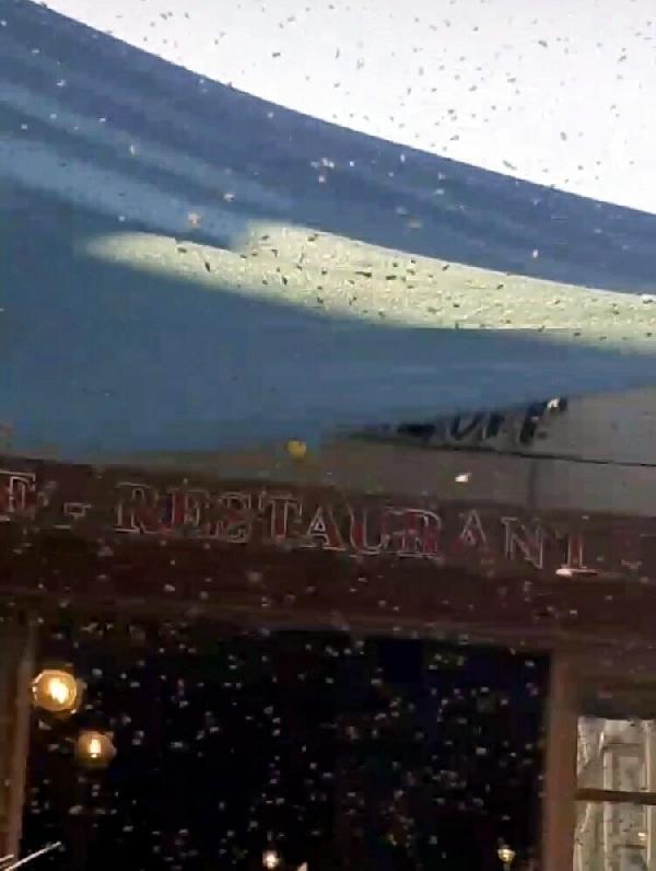 İzmir'de Sanak Sokağı'ndaki arılar görenleri korkuttu