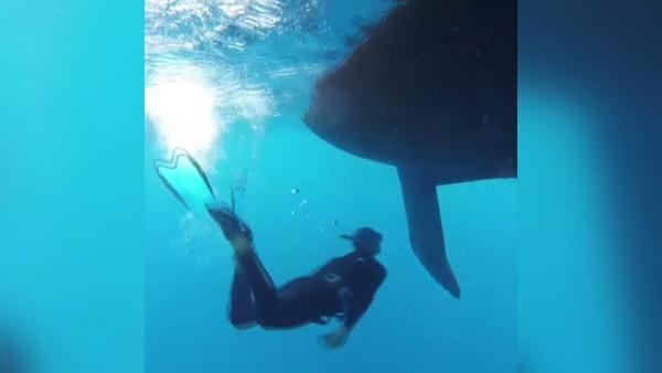 Tekneyle 82 günde Portekiz'den Arjantin’e gitti