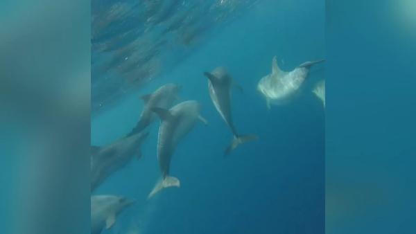 Tekneyle 82 günde Portekiz'den Arjantin’e gitti