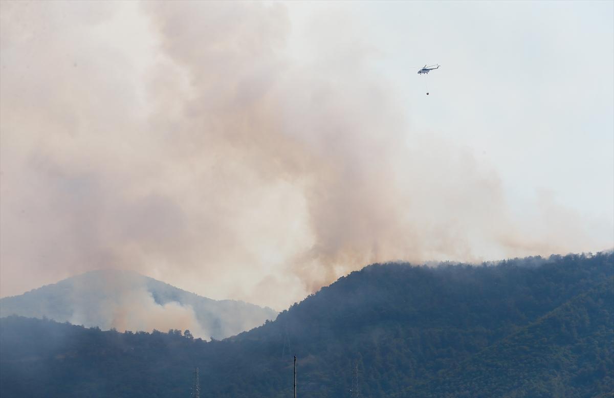 İzmir Balçova'da orman yangını