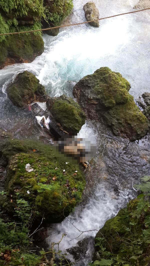 Mersin'de 55 gündür kayıptı, şelalede cesedi bulundu