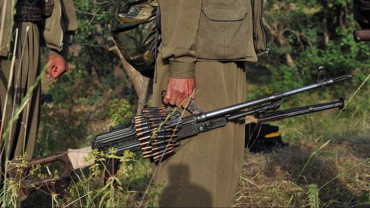 Şırnak'ta 5 terörist ikna yoluyla teslim oldu