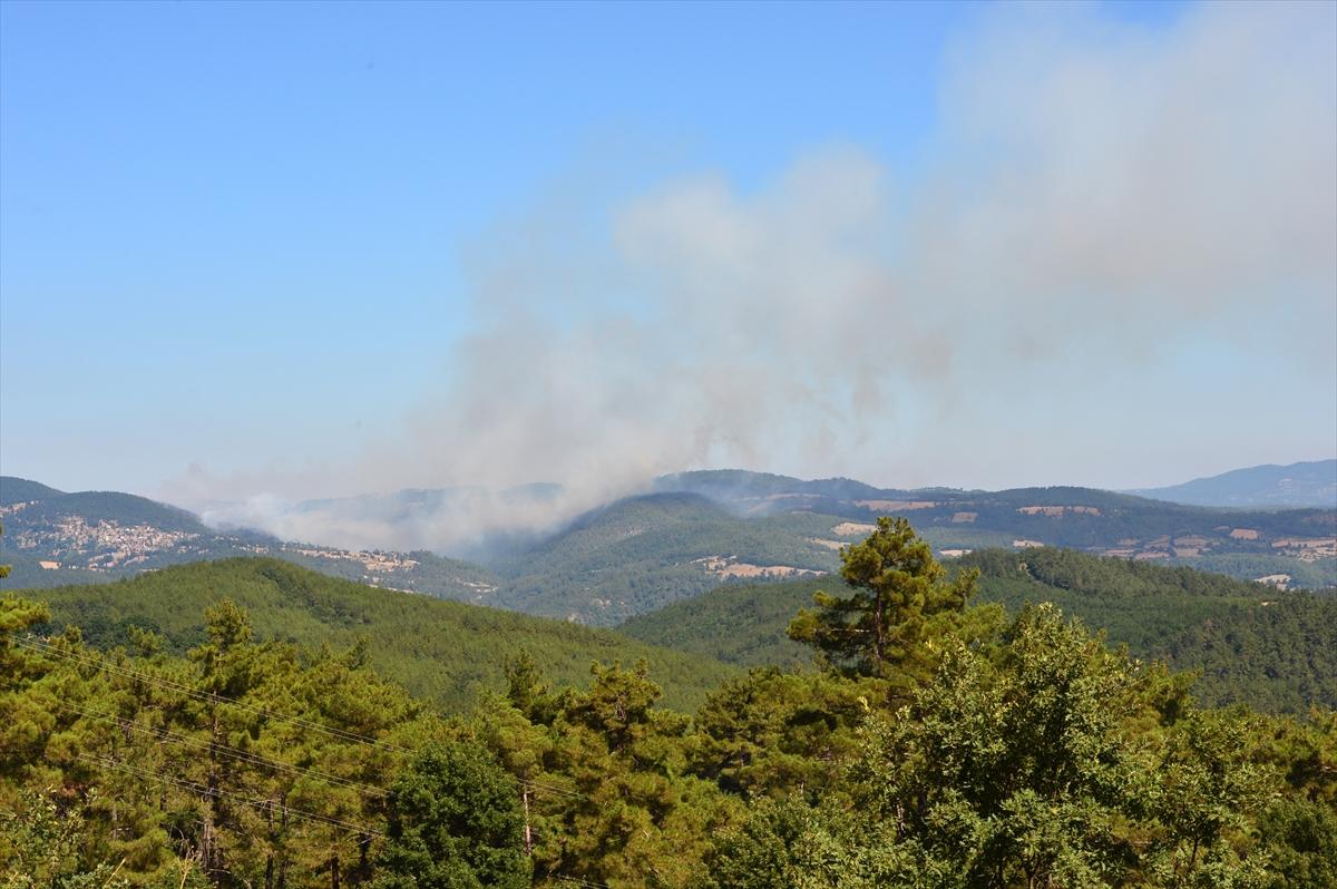 Çanakkale Yenice'de orman yangını