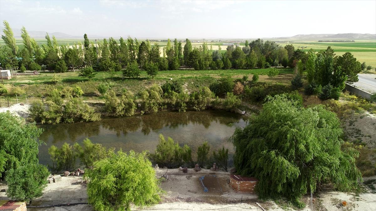 Karapınar'daki çorak arazisini vahaya çevirdi