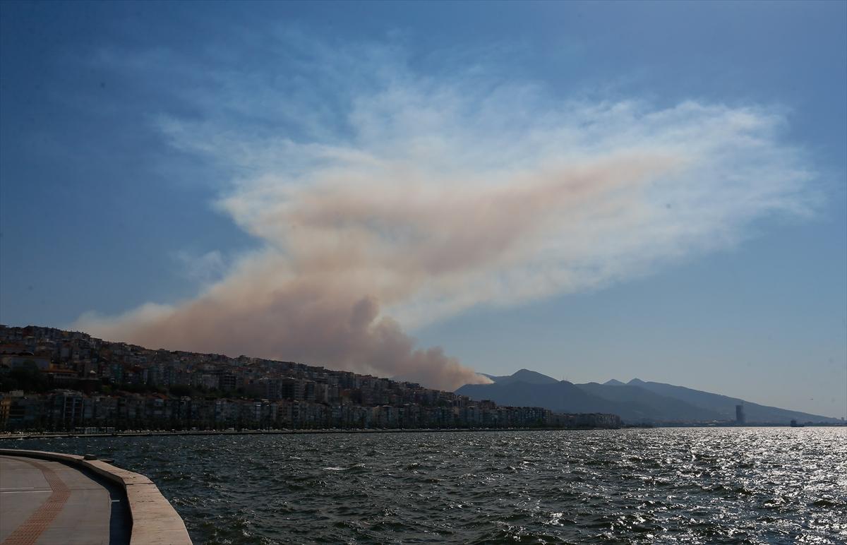 İzmir Balçova'da orman yangını