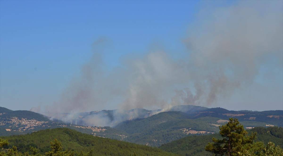 Çanakkale Yenice'de orman yangını