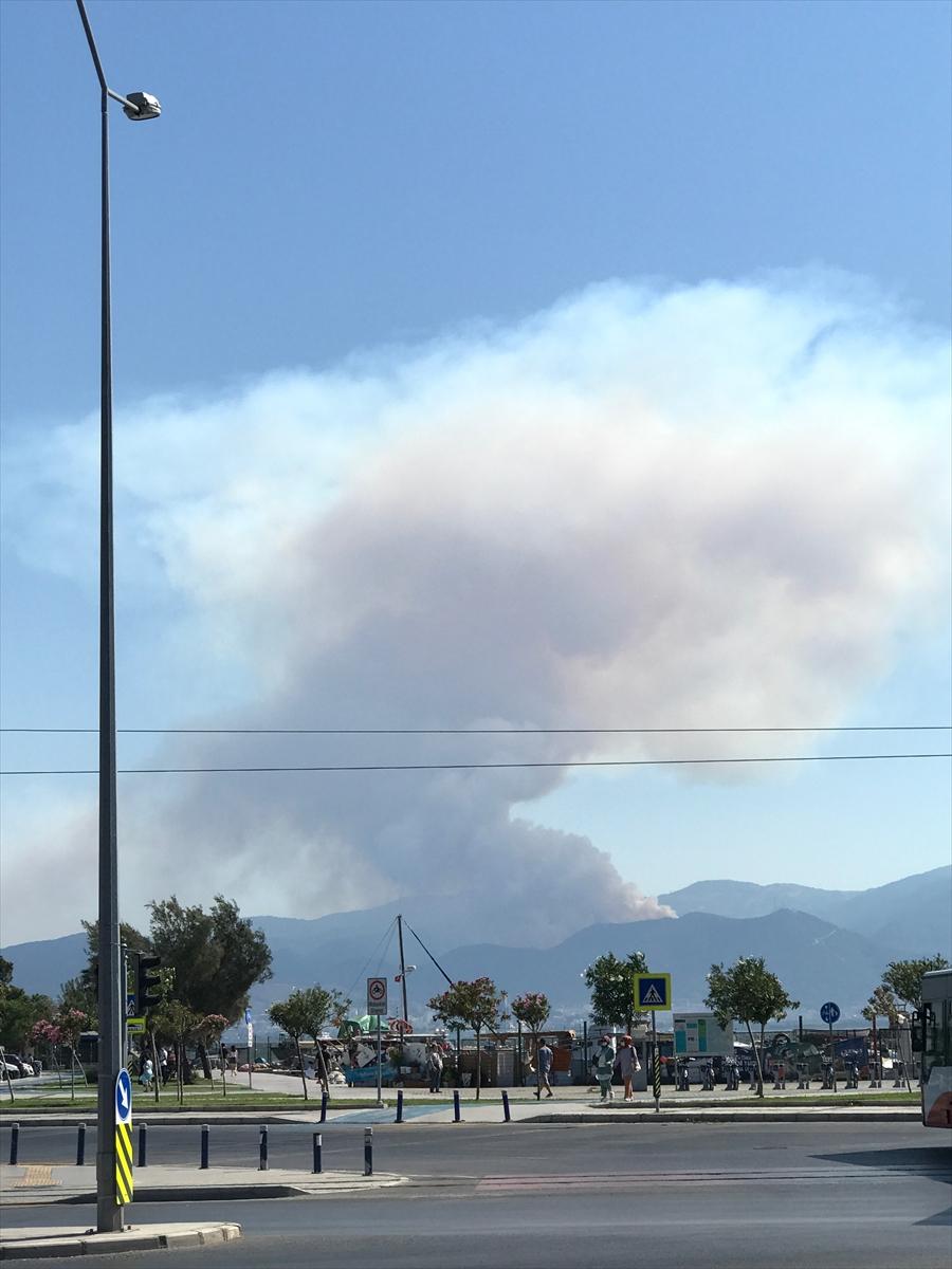 İzmir Balçova'da orman yangını