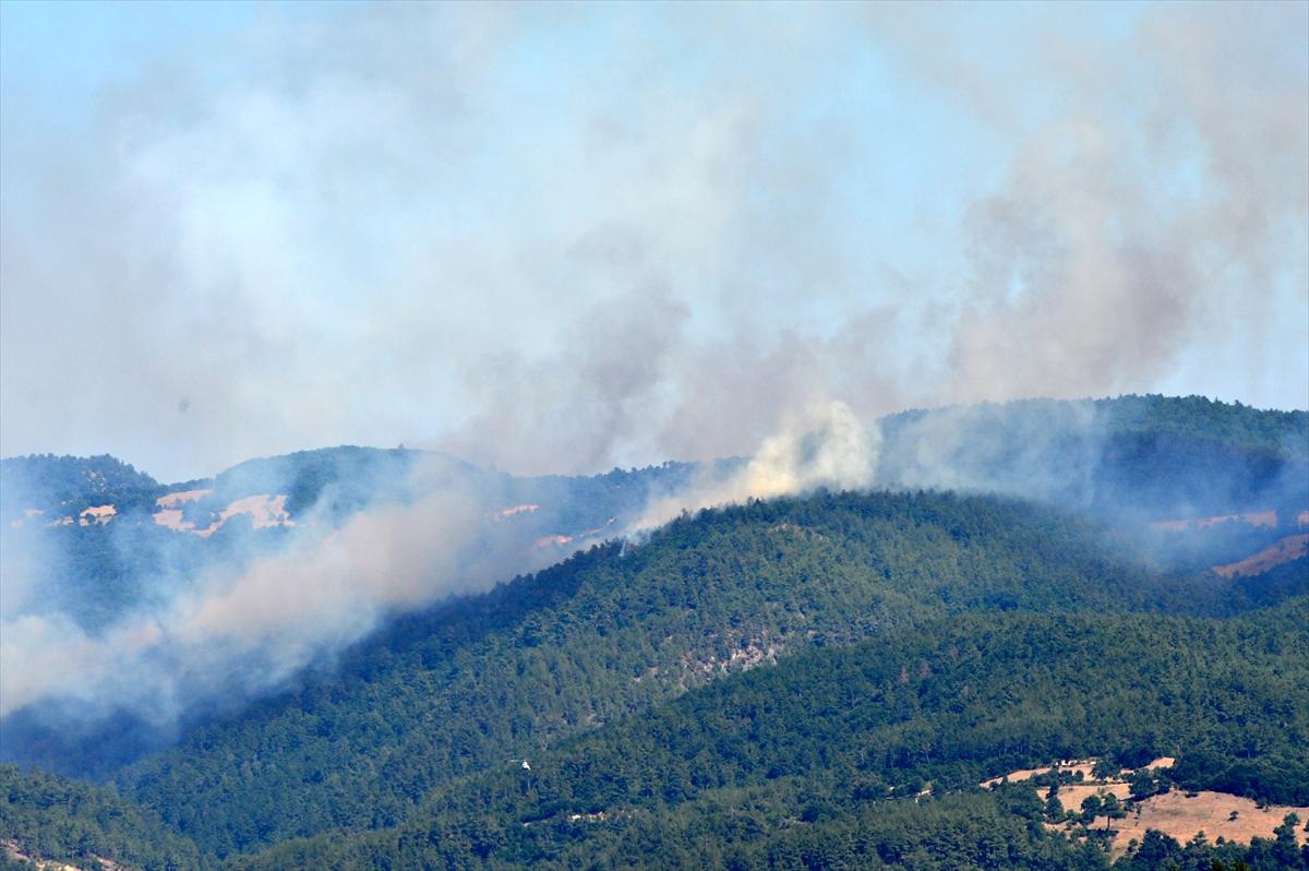 Çanakkale Yenice'de orman yangını