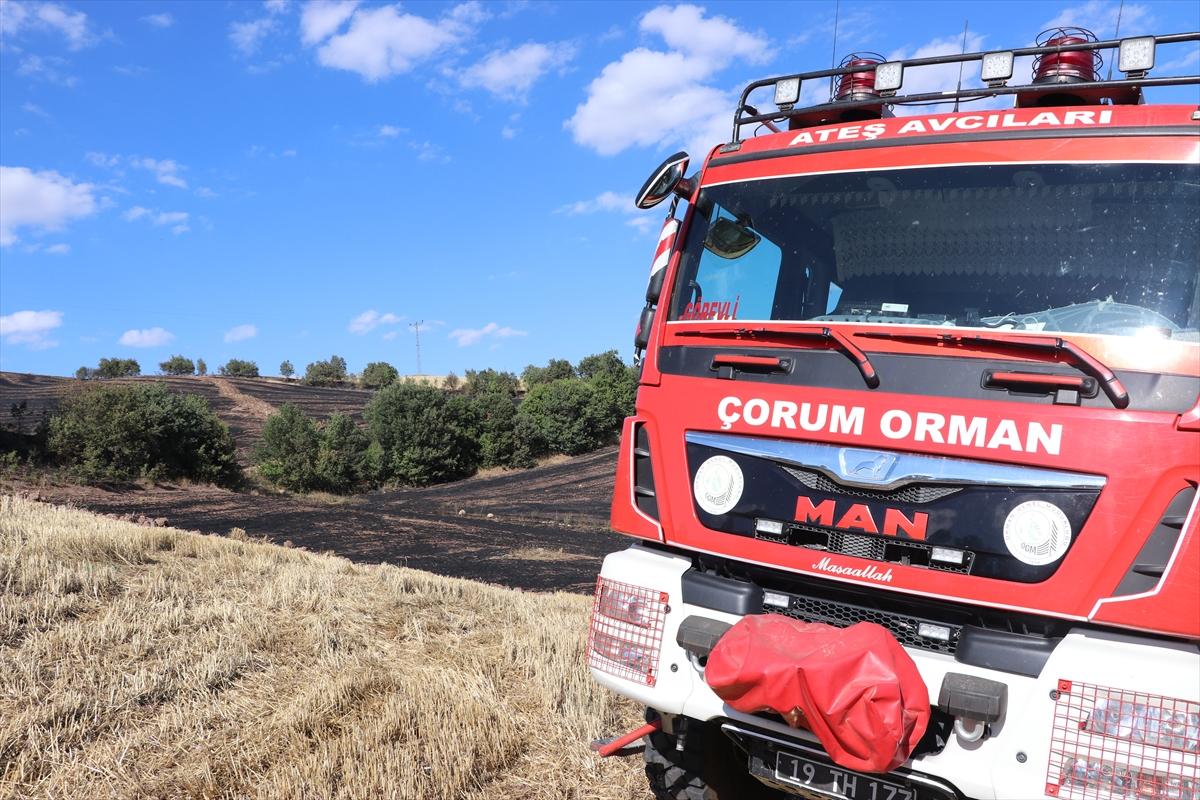 Çorum'da anız yangını