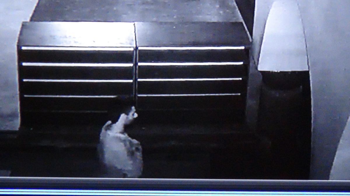 Gaziantep'te, camide uyuyan adamın parası çalındı