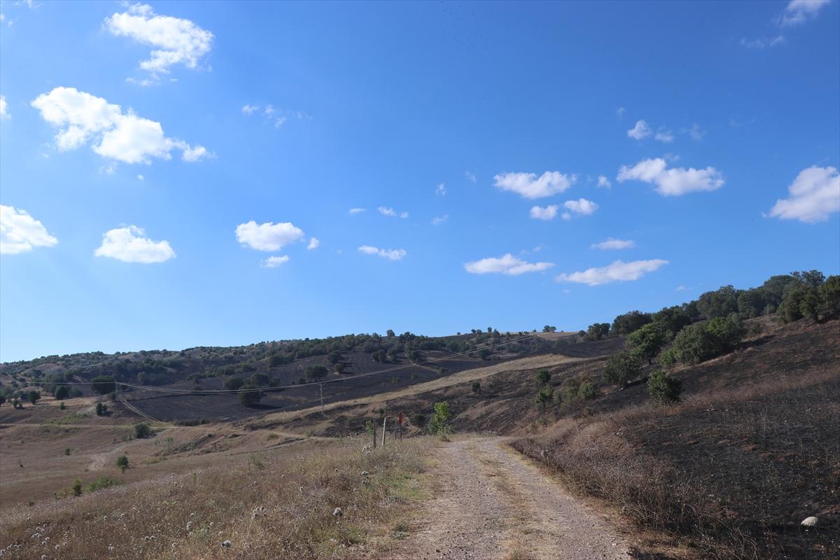 Çorum'da anız yangını