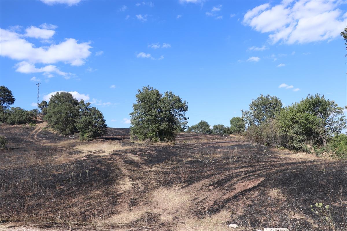 Çorum'da anız yangını