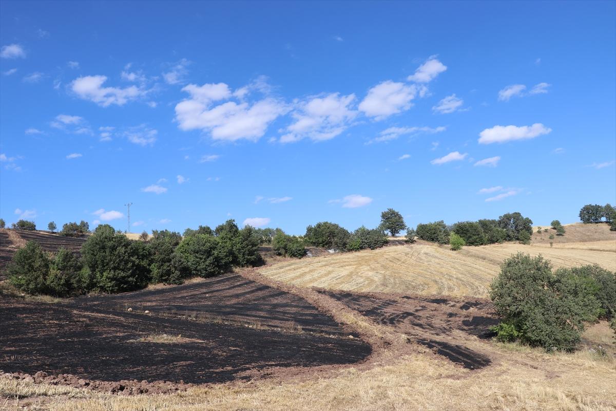 Çorum'da anız yangını
