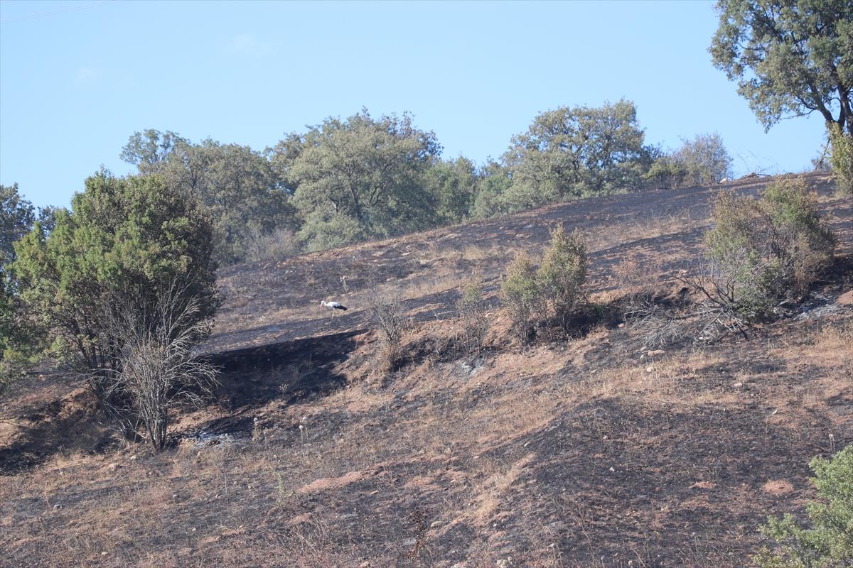 Çorum'da anız yangını