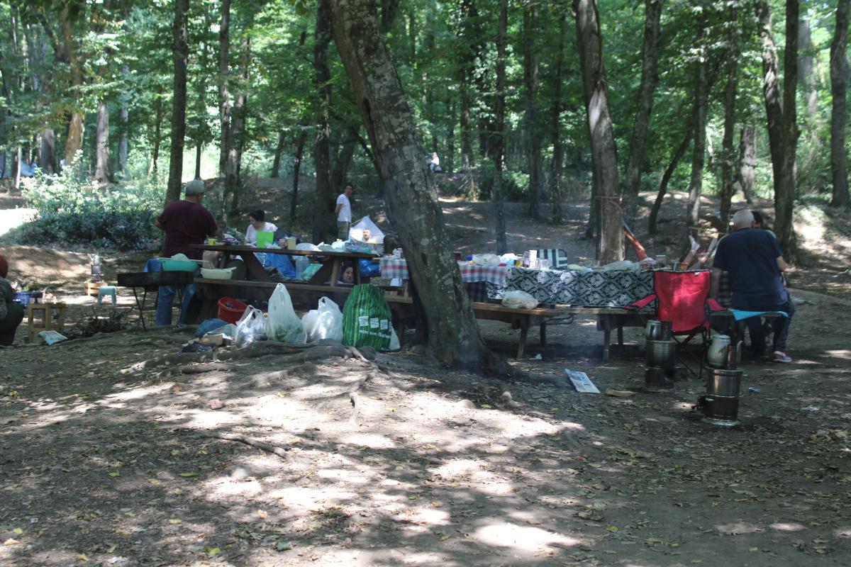 Belgrad Ormanı’nda bayram yoğunluğu