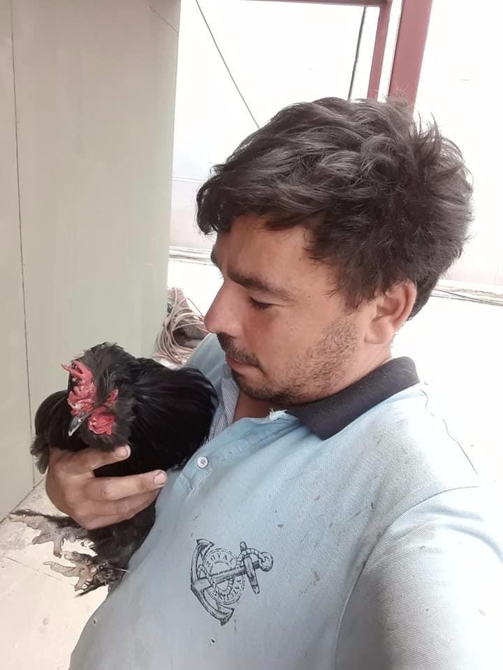 'Trafik cezalarına af' paylaşımından sonra kazada öldü