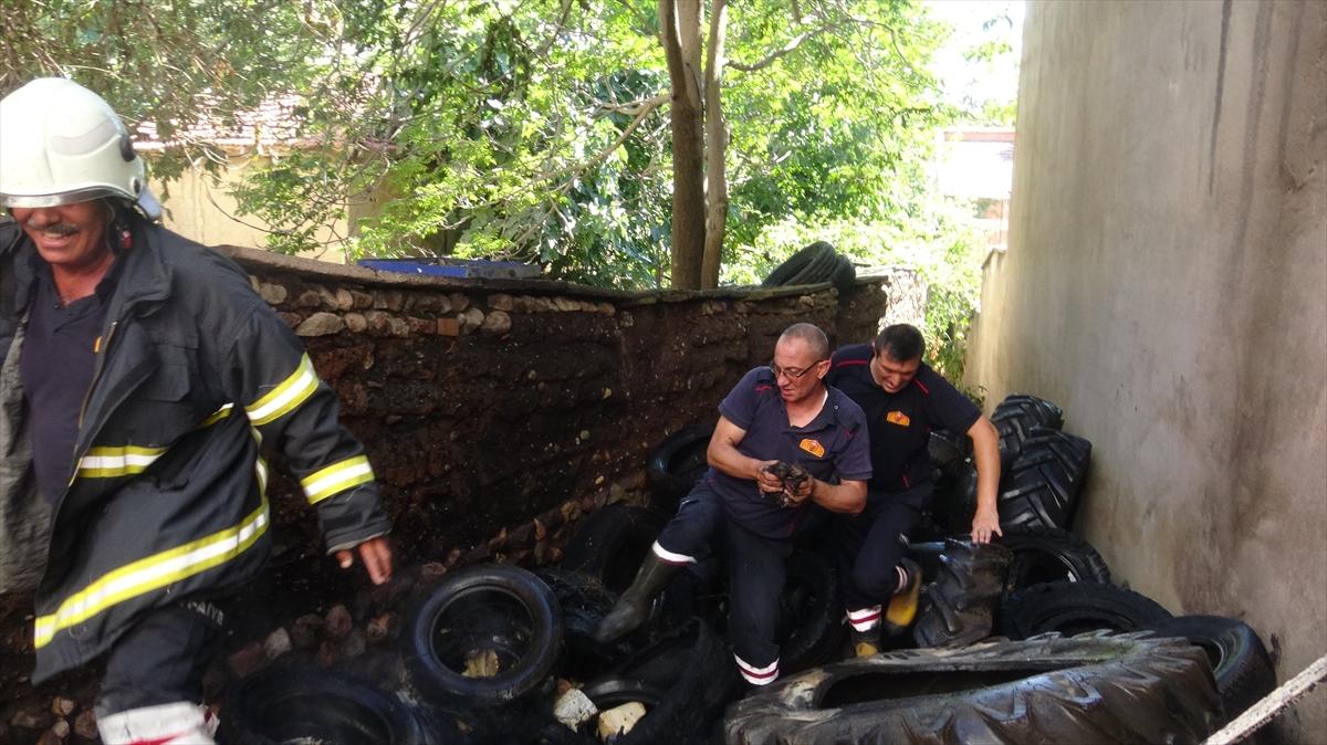 Yangında mahsur kalan kedi yavruları kurtarıldı