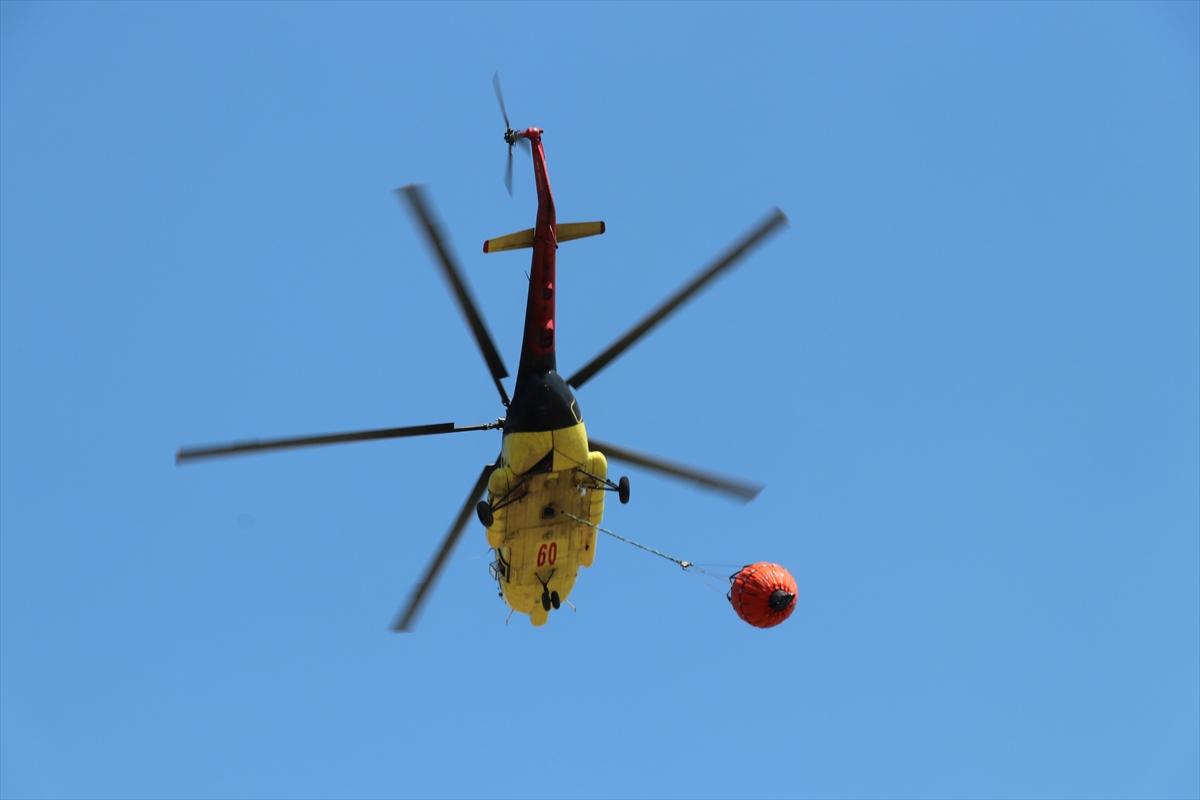 İzmir'de iki bölgede orman yangını