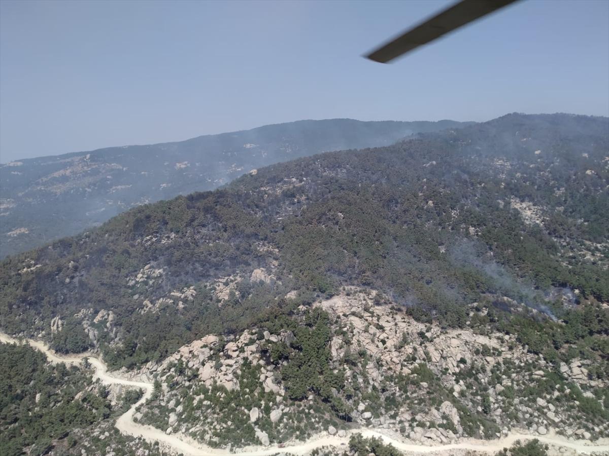 Ege ormanları alevlere teslim oldu
