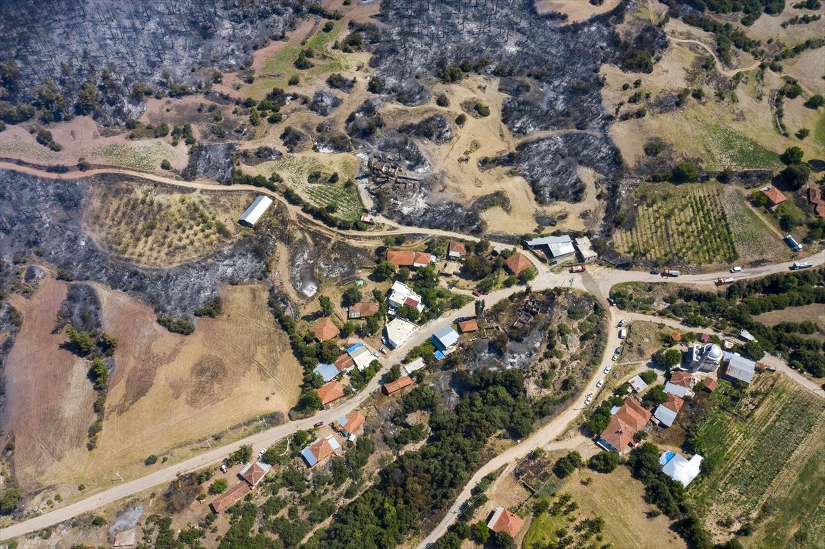 Ege ormanları alevlere teslim oldu