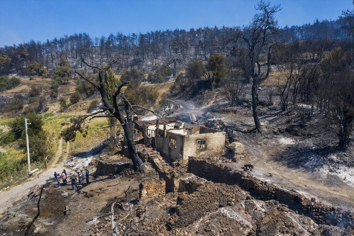 Ege ormanları alevlere teslim oldu