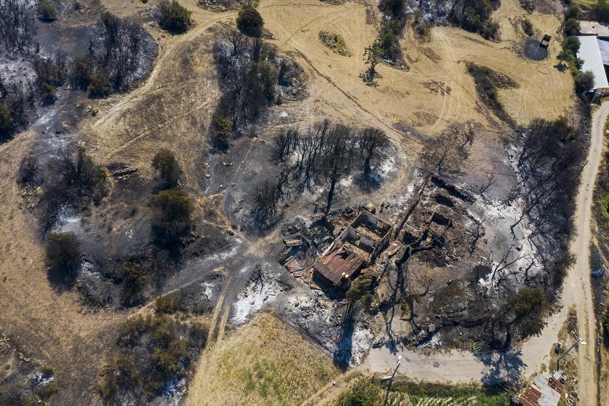 Ege ormanları alevlere teslim oldu