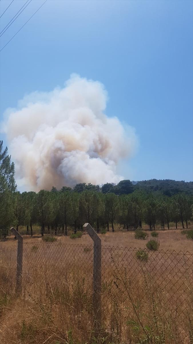 Ege ormanları alevlere teslim oldu