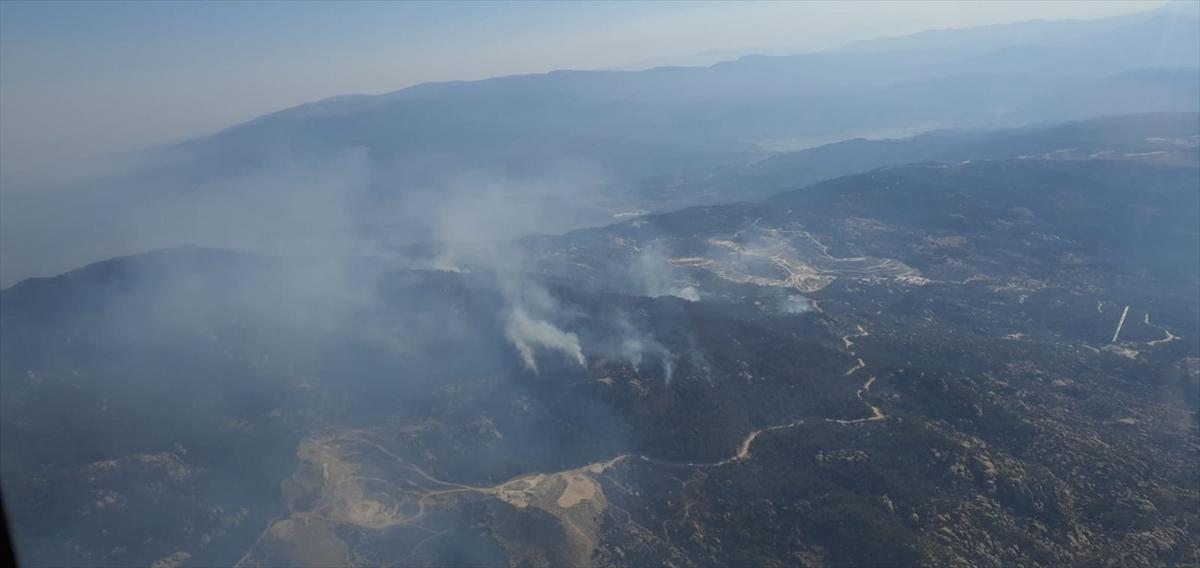 Ege ormanları alevlere teslim oldu