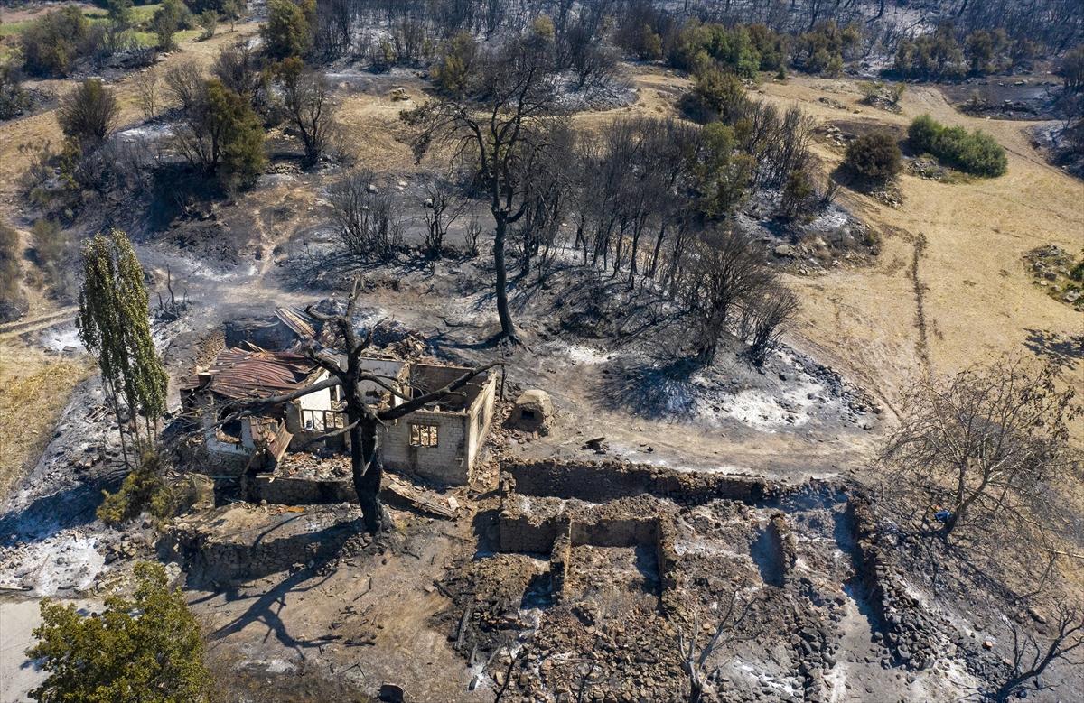 Ege ormanları alevlere teslim oldu