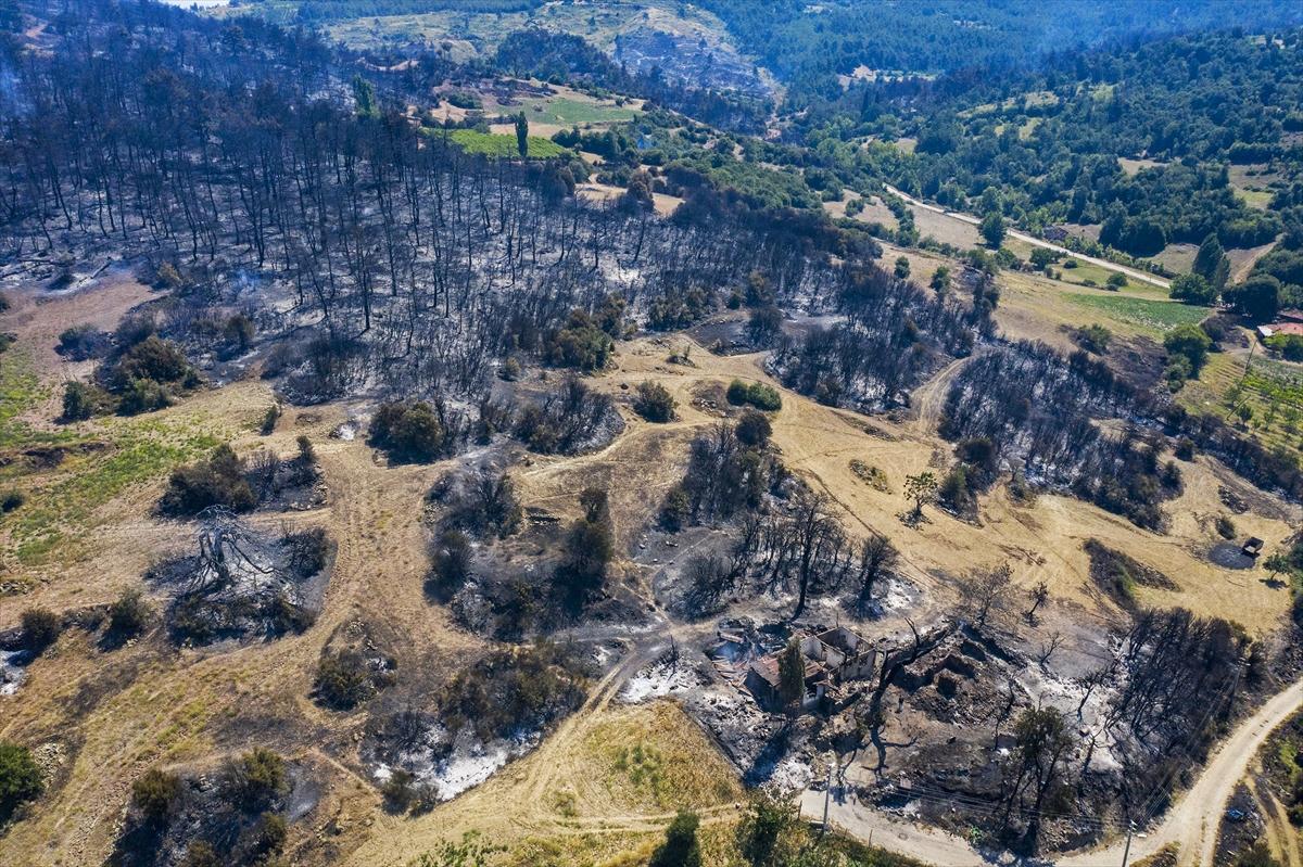 Ege ormanları alevlere teslim oldu
