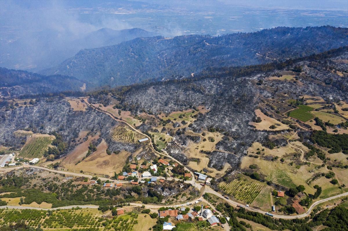 Ege ormanları alevlere teslim oldu