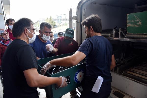 Antalya'da ölü bulunan kadının katili sevgilisi çıktı