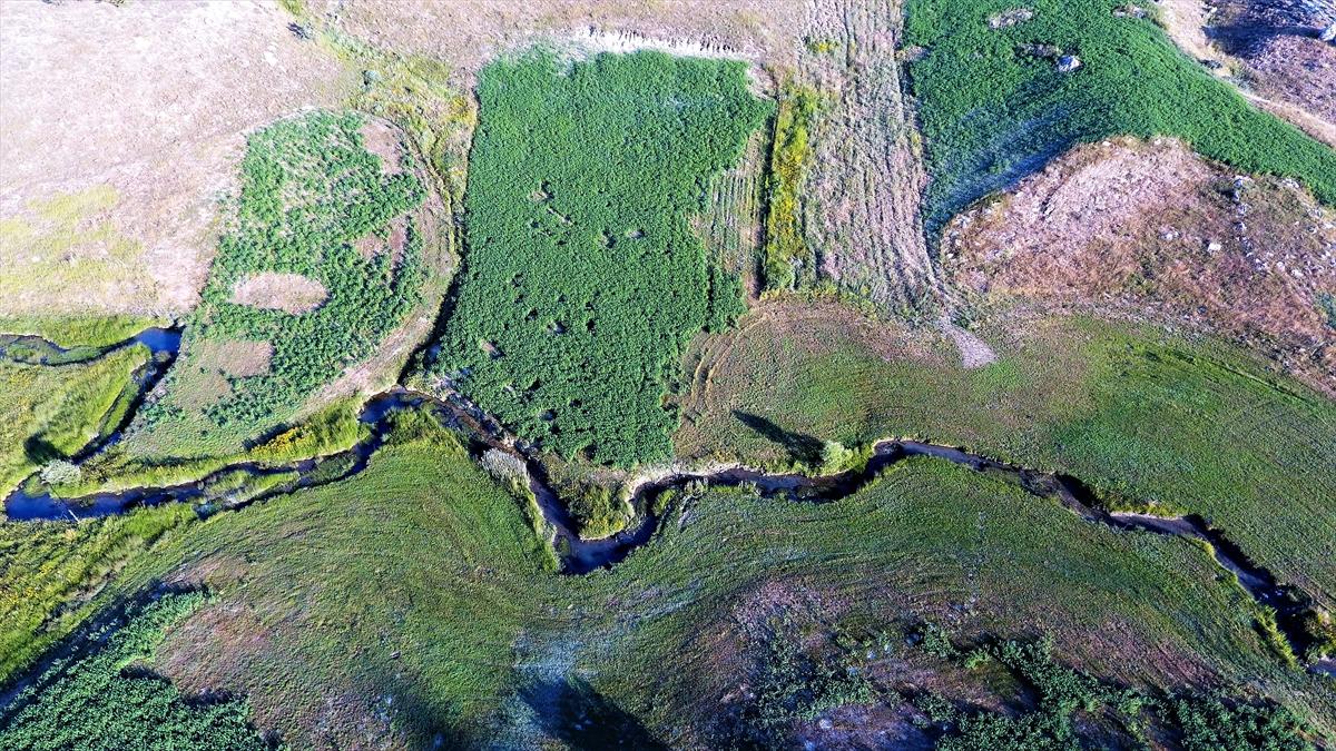 Kahramanmaraş'ta Karadeniz yaylalarını aratmayan güzellik