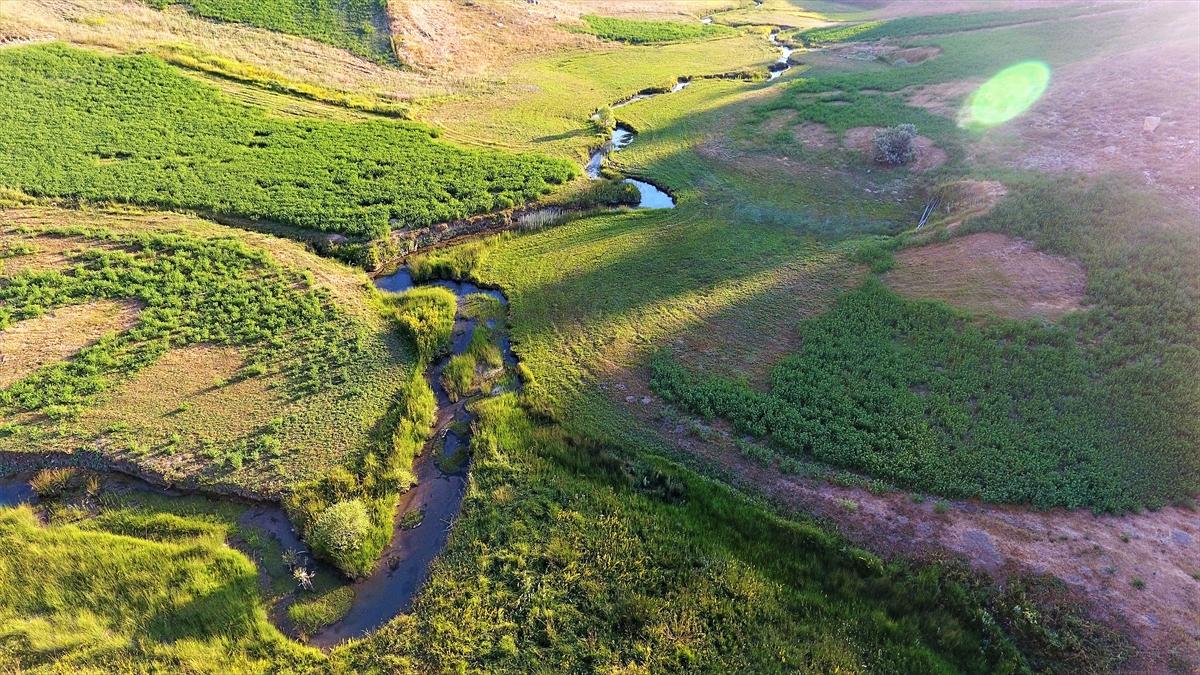 Kahramanmaraş'ta Karadeniz yaylalarını aratmayan güzellik