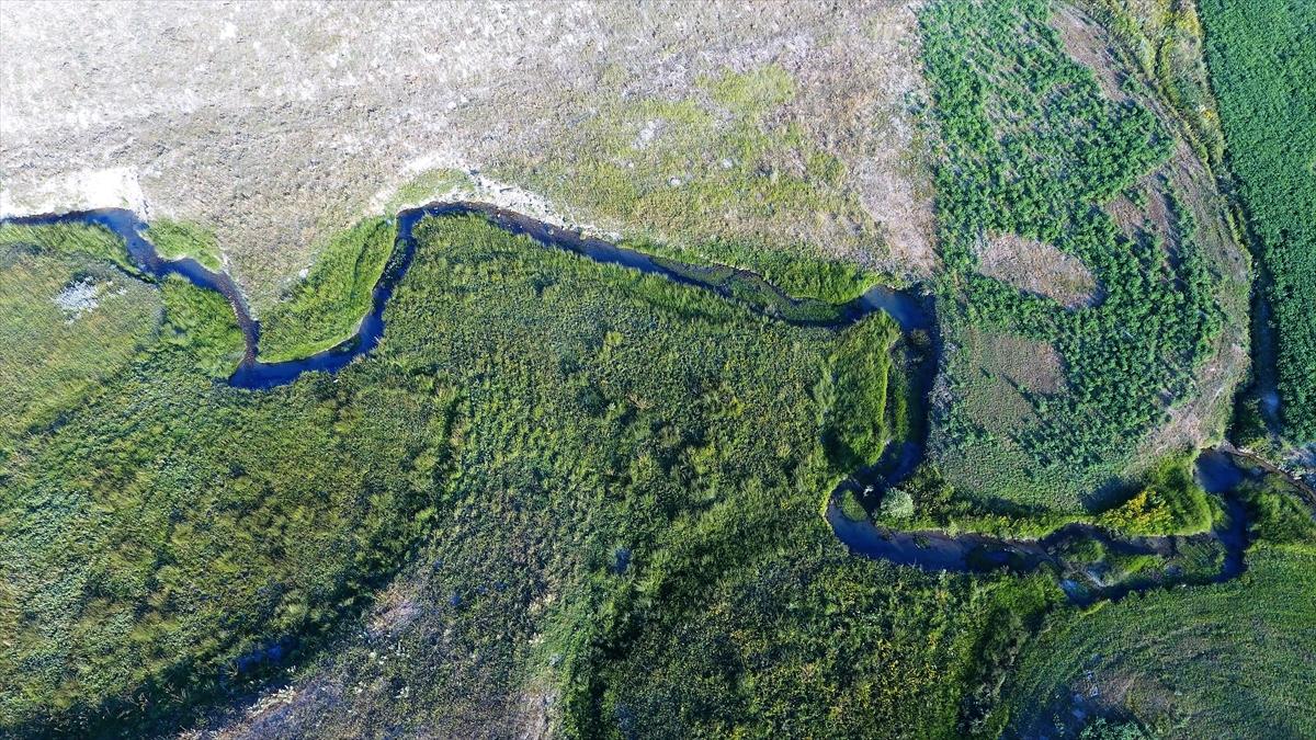 Kahramanmaraş'ta Karadeniz yaylalarını aratmayan güzellik