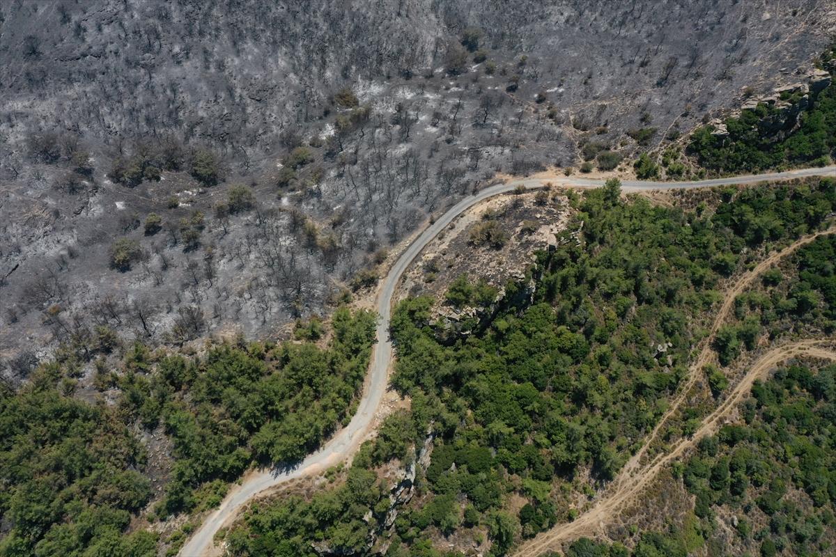 İzmir'deki orman yangınından geriye kalan