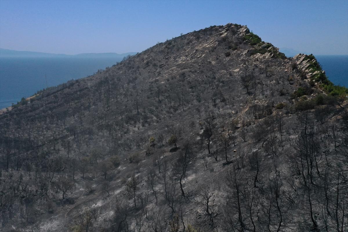 İzmir'deki orman yangınından geriye kalan