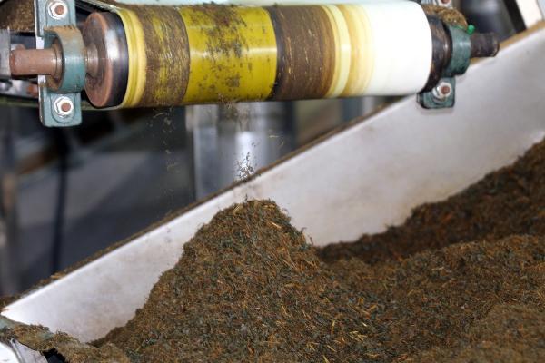 Kuru çayın kalitesi 4 kriterle anlaşılıyor