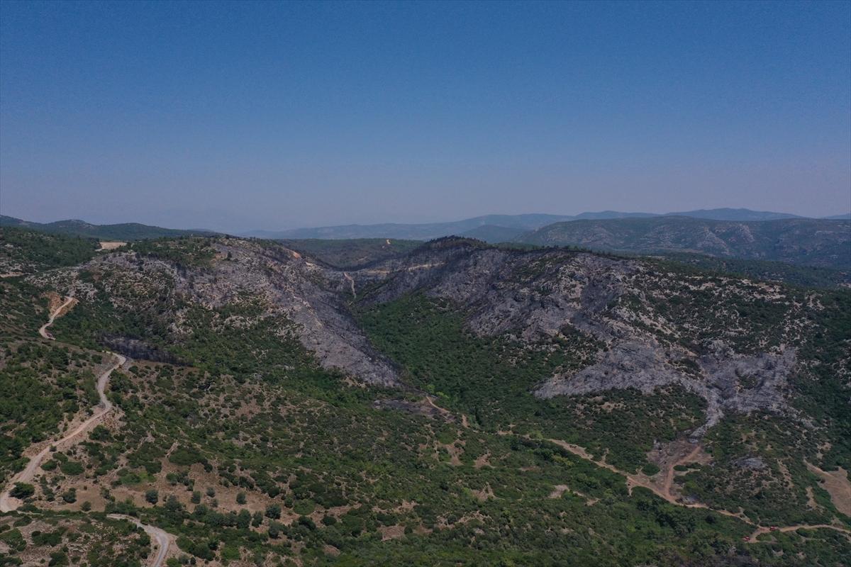 İzmir'deki orman yangınından geriye kalan