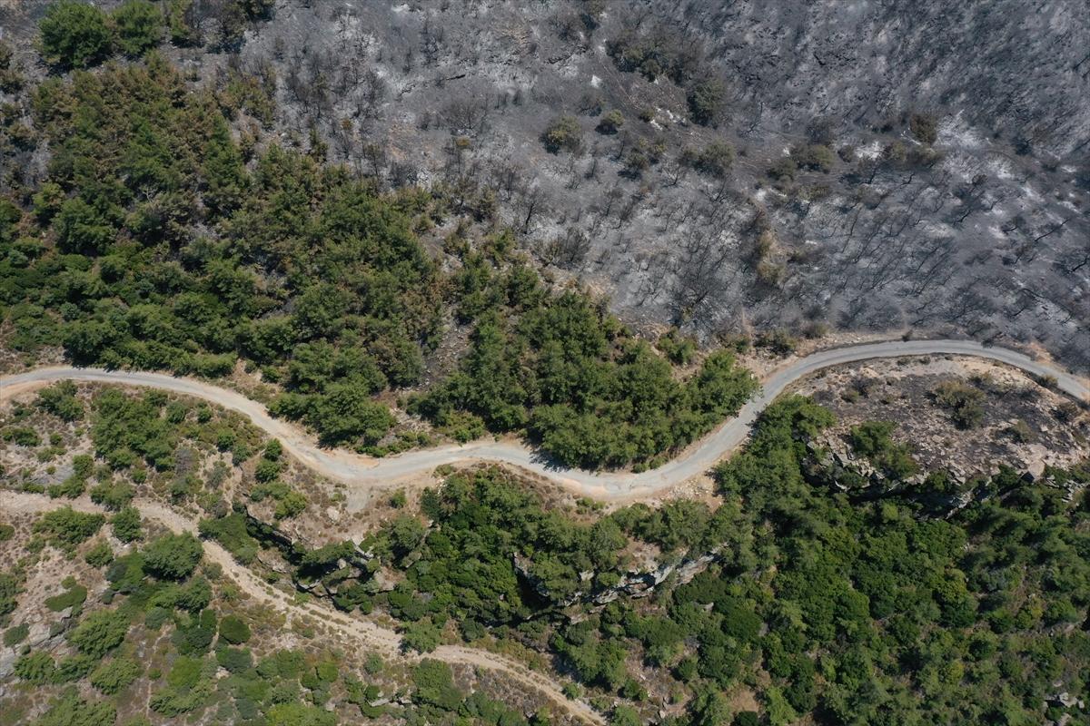 İzmir'deki orman yangınından geriye kalan