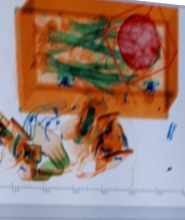 Ermeni kadın kocasının kemiğini uçakla taşıdı