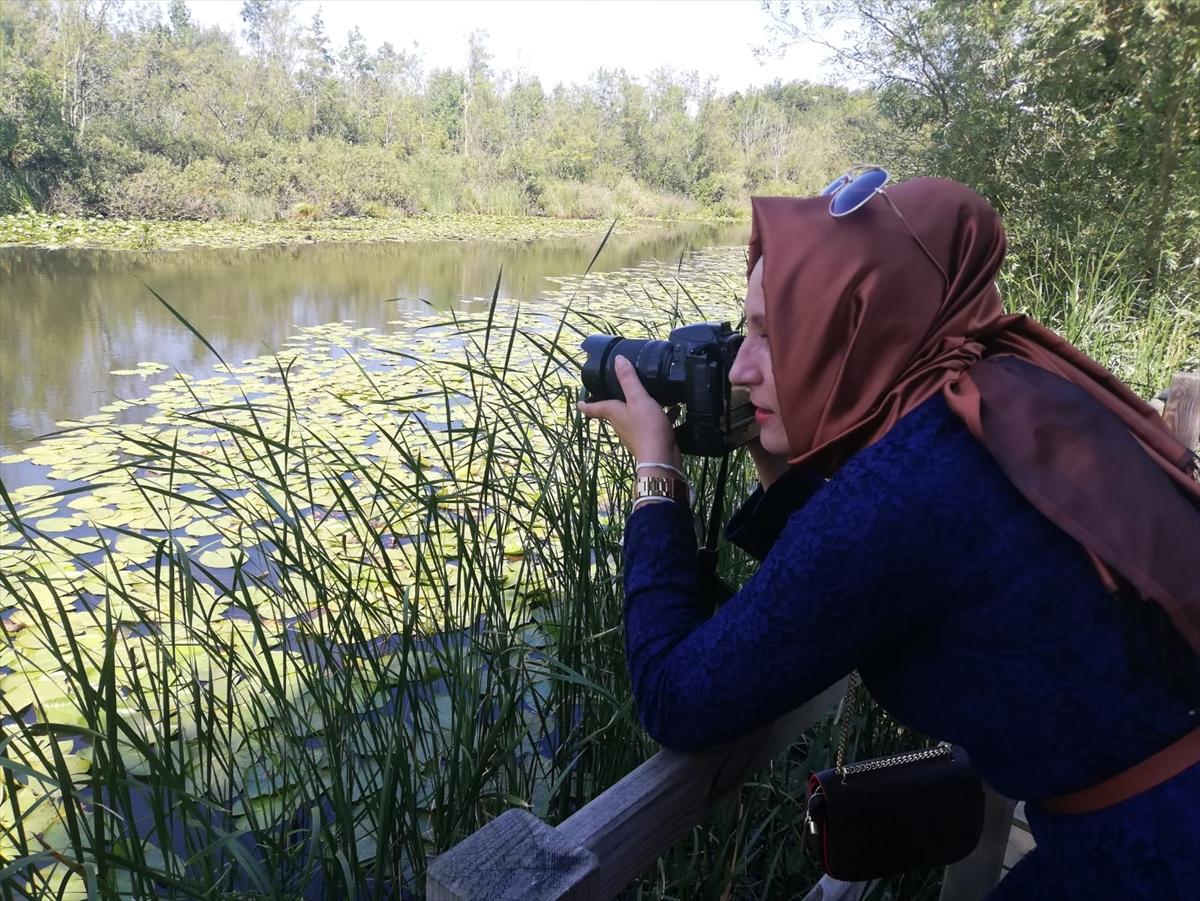 Acarlar Longozu, ziyaretçilerin ilgi odağı oldu