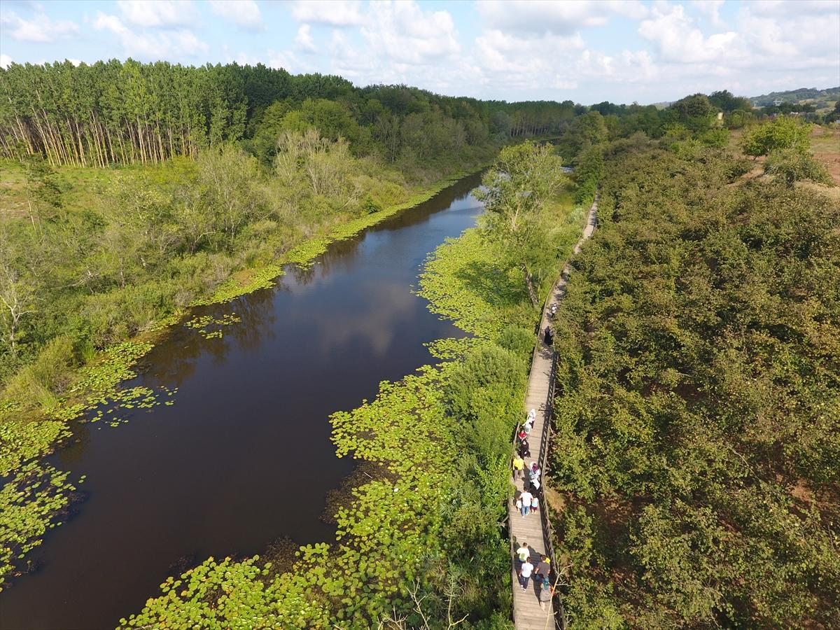 Acarlar Longozu, ziyaretçilerin ilgi odağı oldu