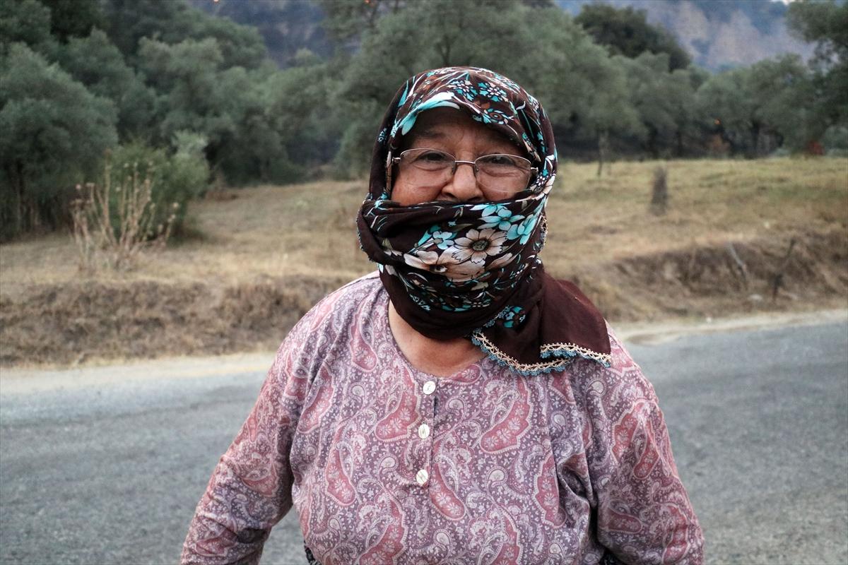 Aydın'da ağaçlık arazide yangın çıktı
