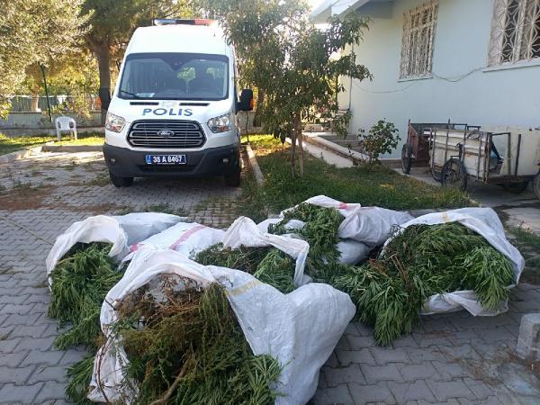 Bergama'da 400 kök Hint keneviri ele geçirildi