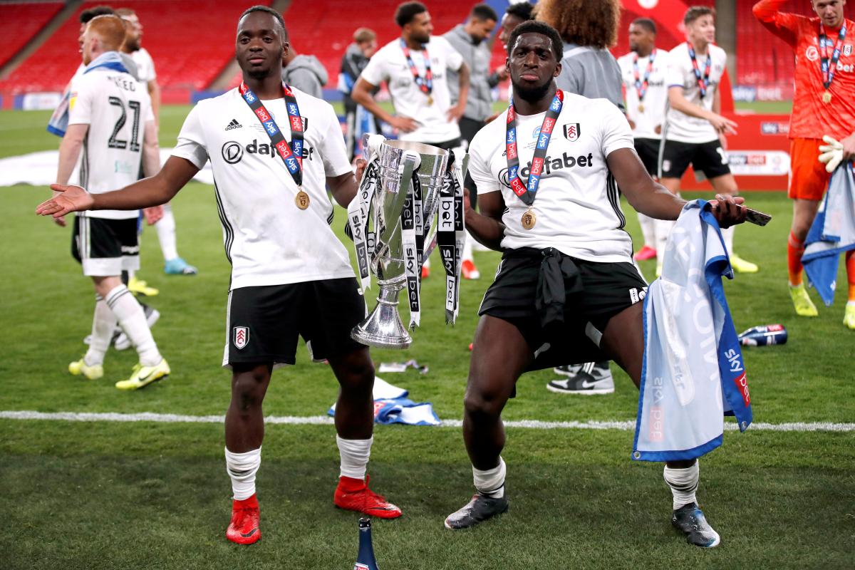 Fulham Premier Lig'e yükseldi