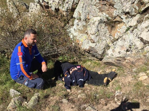 Ordu'da kayıp çoban ölü bulundu, husumetlisi yakalandı