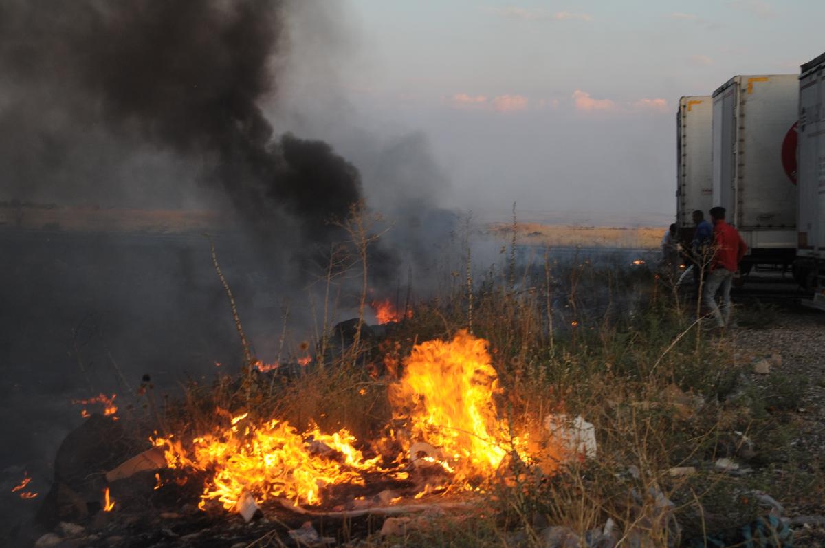 Şırnak'ta sigara izmariti tarlayı küle çevirdi